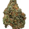 Zombie OG strain